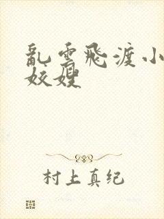 乱云飞渡小说之姣嫂