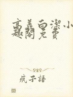 高义白洁小说笔趣阁免费封面