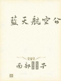 蓝天航空公司封面