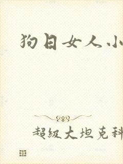 狗日女人小说封面
