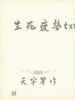 生死疲劳txt封面