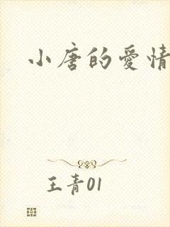 小唐的爱情史封面