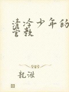 清冷少年的严厉管教封面