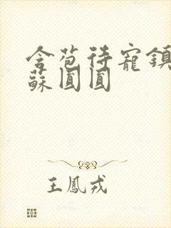 含苞待宠镇国公苏圆圆封面