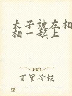 太子被左相和右相一起上