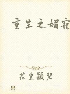 重生之媚宠系统