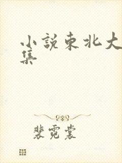 小说东北大炕全集