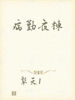 病勤夜栋
