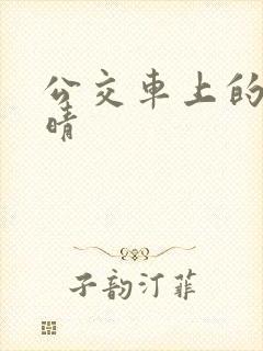 公交车上的诗请晴封面