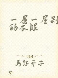 一层一层剥开你的衣服