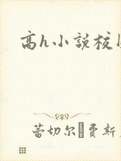 高h小说校园