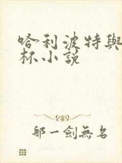 哈利波特与火焰杯小说