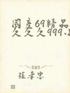 国产69精品久久久久999小说封面