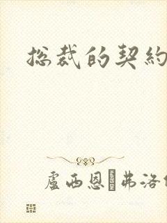 总裁的契约情人