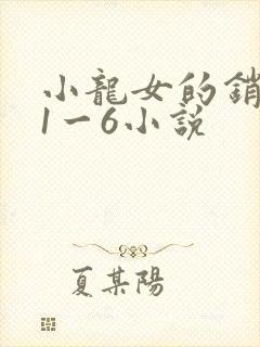 小龙女的销魂夜1一6小说