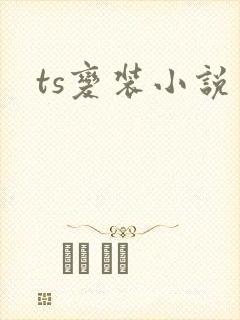 ts变装小说