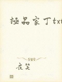 极品家丁txt