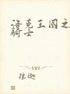 洛克王国之圣龙骑士