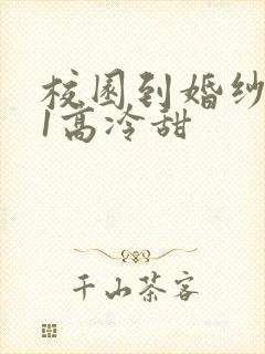 校园到婚纱1V1高冷甜