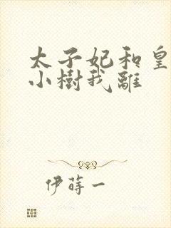 太子妃和皇上在小树我离封面