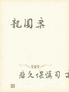 龙图案封面
