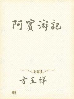 阿宾游记