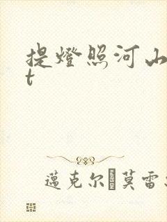 提灯照河山txt封面