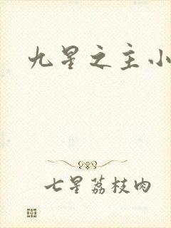 九星之主小说