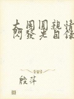 大团圆亲情会闪闪发光目录封面