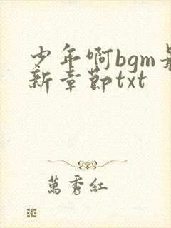 少年啊bgm最新章节txt