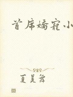 首席娇宠小情人封面