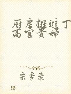 厨房挺进丁字裤高官贵妇