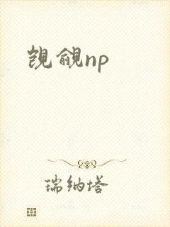 觊觎np