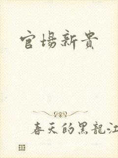 官场新贵