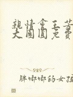 亲情会王芳高敏大团圆免费阅读