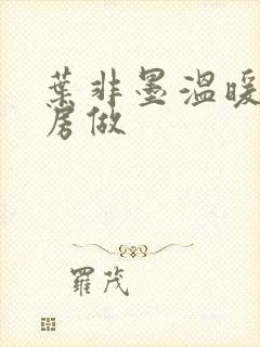 叶非墨温暖在厨房做封面