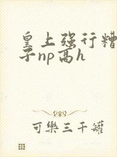 皇上强行糟蹋太子np高h