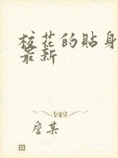 校花的贴身高手最新