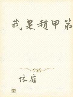 我是赵甲第小说