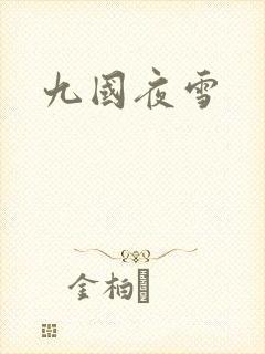九国夜雪