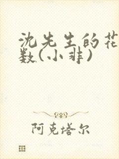 沈先生的花式调数(小非)封面