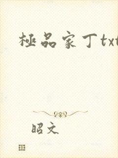 极品家丁txt封面