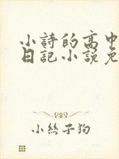 小诗的高中成长日记小说免费阅读封面
