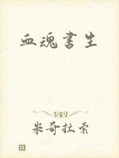 血魂书生封面