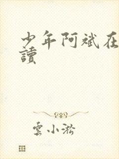 少年阿斌在线阅读