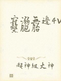 宠溺无边4V2双胞胎