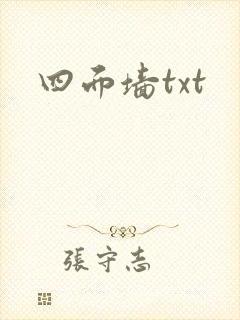 四面墙txt封面