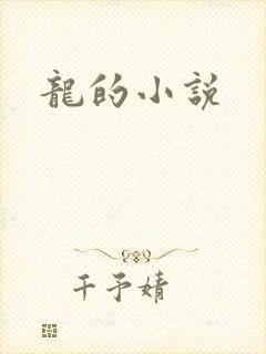 龙的小说封面