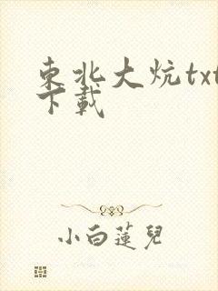东北大炕txt下载封面