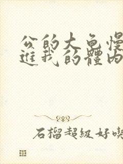 公的大龟慢慢挺进我的体内视频